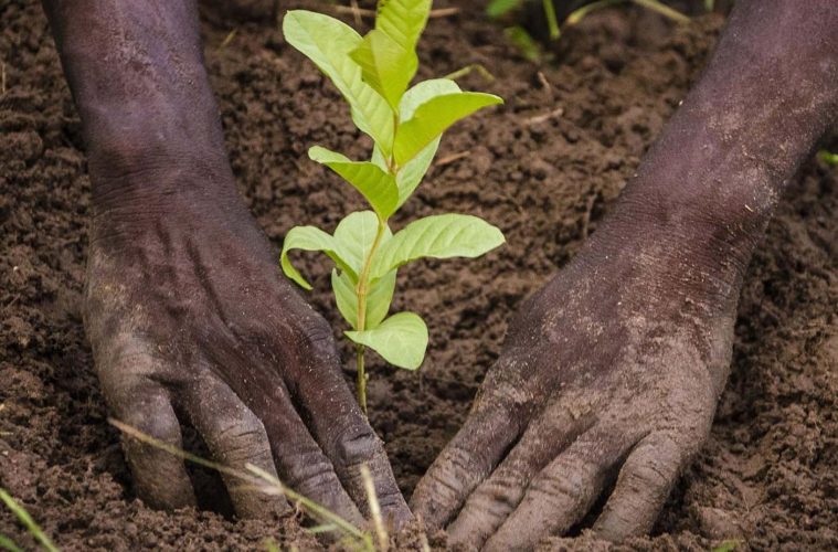 Engagement Communautaire